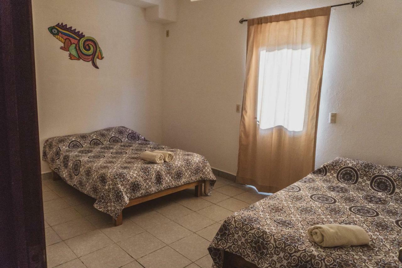 فندق بويرتو إسكونديدوفي  Nomad Beach House المظهر الخارجي الصورة